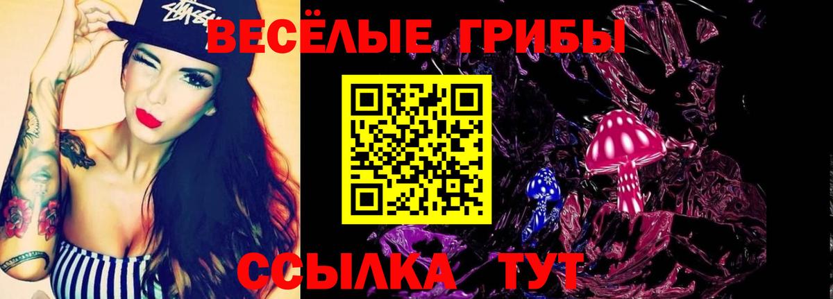 Галлюциногенные грибы Psilocybe Грязи